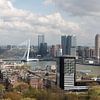 Rotterdam skyline with a view of the Erasmus Bridge and the Kop van Zuid by W J Kok