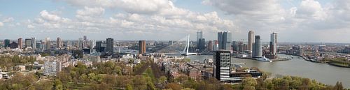 Rotterdam skyline with a view of the Erasmus Bridge and the Kop van Zuid
