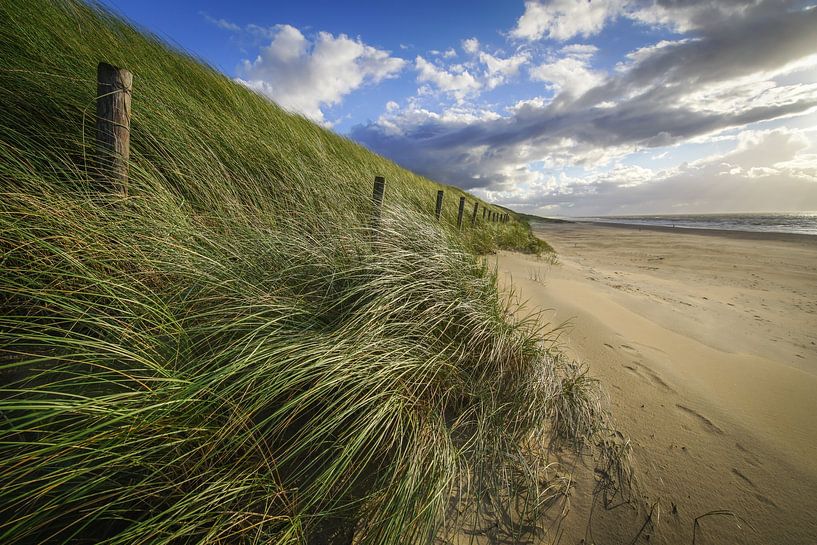Beach, sea and sun by Dirk van Egmond