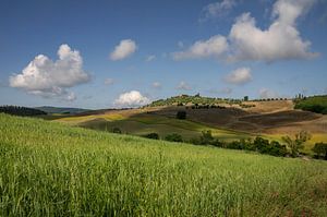 Toskanische Landschaft