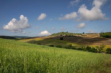 Toscaans landschap van Bo Scheeringa Photography