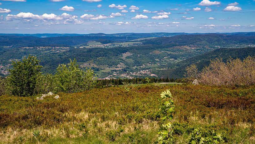 Uitzicht naar Saint-Maurice-sur-Moselle van Alexander Wolff