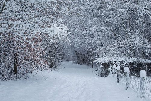Westerpark in de sneeuw
