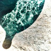 S R Zorn Profile picture