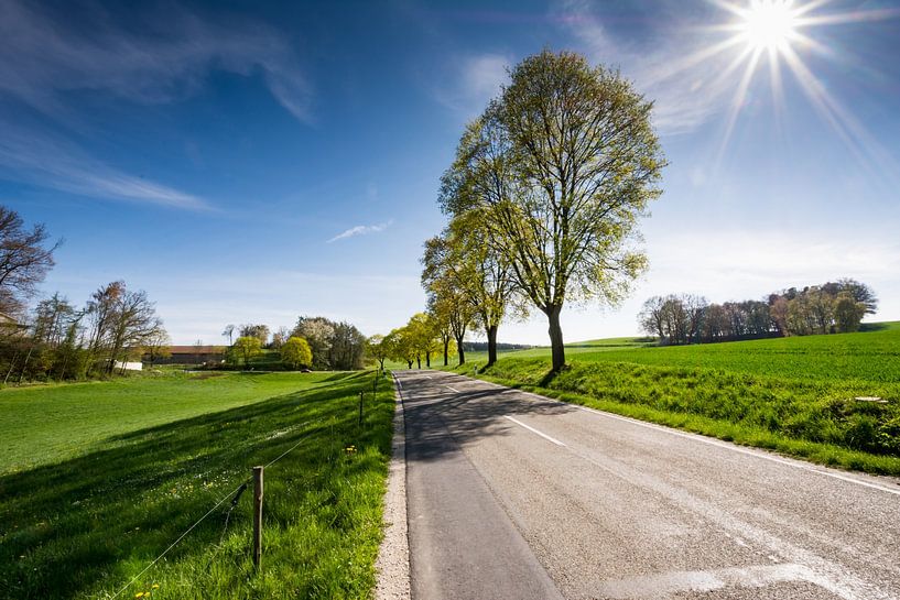 Country road in Bavaria by ManfredFotos