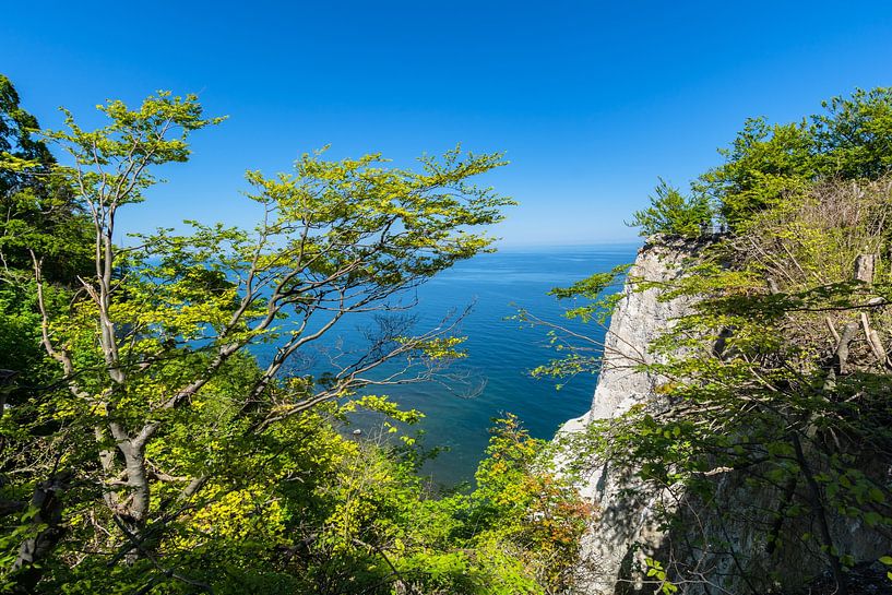 Am Königsstuhl, Insel Rügen, Nationalpark Jasmund von GH Foto & Artdesign