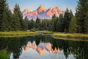 Reflet du Grand Teton #1