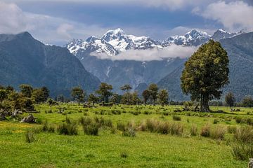 Uitzicht op Mount Cook vanuit Fox Village, Nieuw Zeeland van Christian Müringer