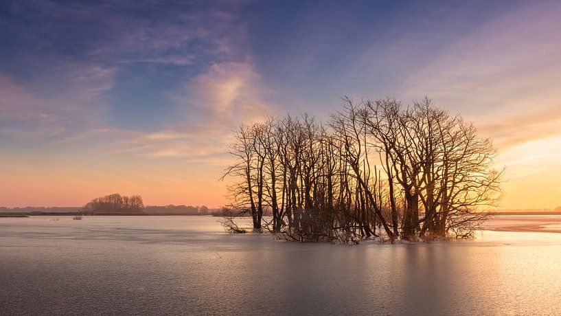 Natuurgebied Tusschenwater Drenthe van Marga Vroom