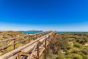Passerelle en bois sur les dunes de sable menant à la plage de la baie d'Alcudia, à Majorque, en Esp