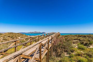 Houten voetgangersbrug over de zandduinen naar het strand van de baai van Alcudia op Mallorca, Spanj van Alex Winter