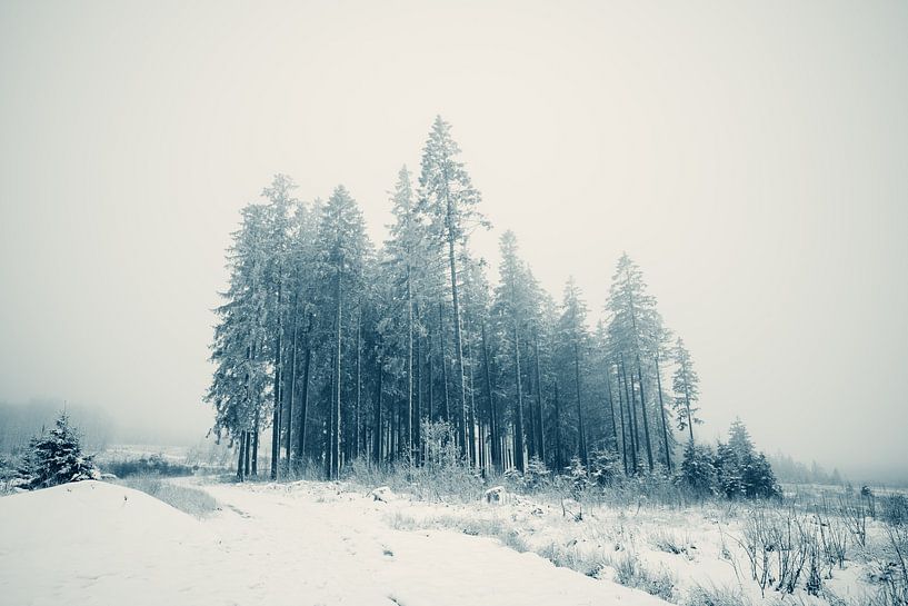 Winter wonderland van Peter Deschepper