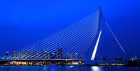 Erasmus-Brücke