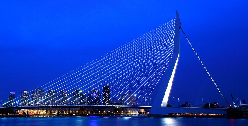 Erasmusbrug van Mario Brussé Fotografie