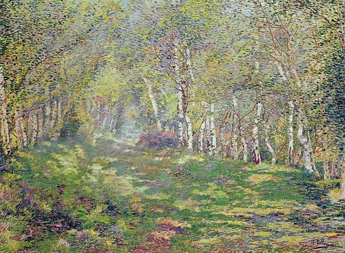 Adriaan Josef Heymans,Zilverberken