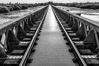 Le pont des marais de B&W