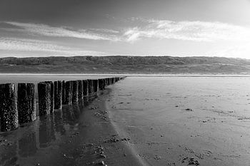 Der Strand von Bergen aan Zee
