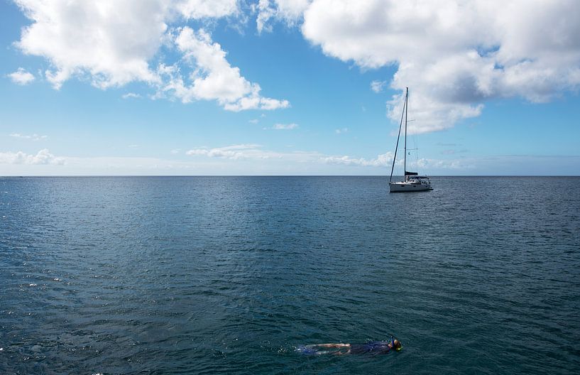 Snorkeller in the Caribbean Sea by Margot van den Berg