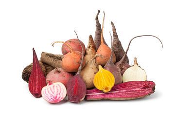 Diversiteit van verschillende soorten en kleuren bieten van Frans Rombout