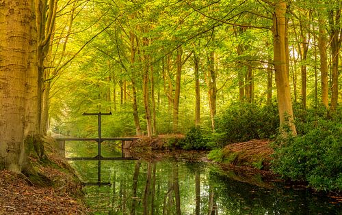 Brug bij huize IJsselvliedt