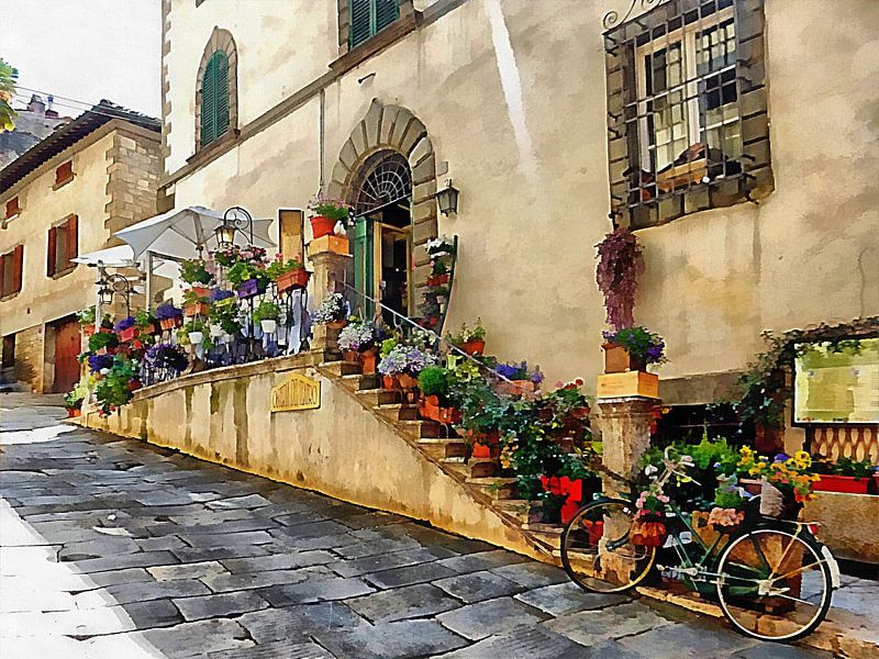 Floral Display Cortona Tuscany by Dorothy Berry-Lound