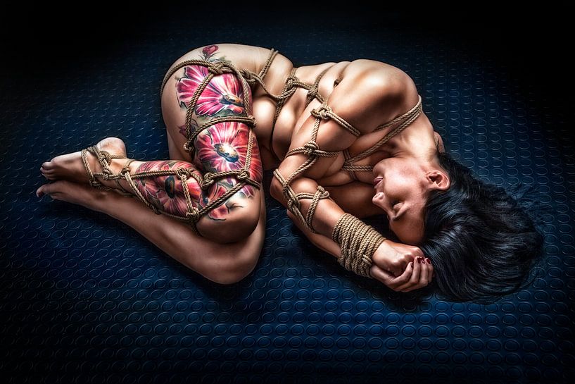 Laid Down von Rod Meier