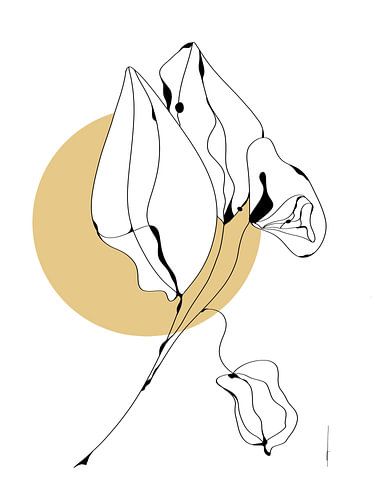 Afscheid van de zomer