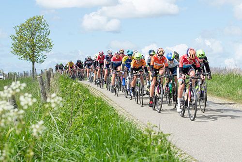 Omloop van Borsele