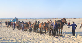Canot de sauvetage à rames de Terschelling