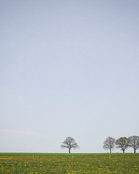Bomen aan de horizon | Landschap | Zuid-Limburg, Nederland van Luis Boullosa
