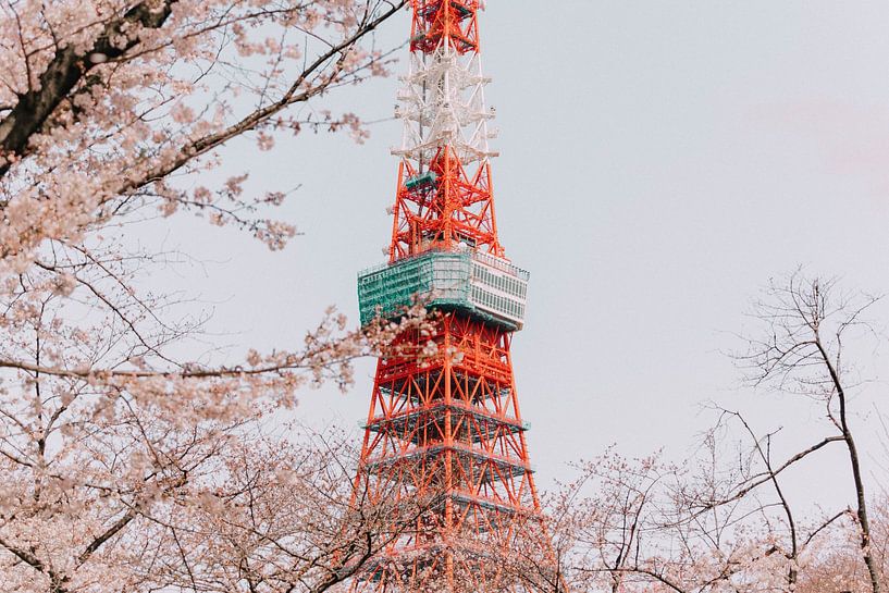 Tokyo Tower by Hello Pompoyo