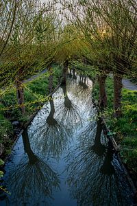 Blick auf den Fluss Minstroom in der Nähe des Abstederdijk in Utrecht. One2expose Wout Kok Fotografi von Wout Kok