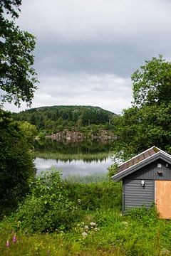 Versteckter See zwischen den Bäumen in Norwegen von Manon Verijdt