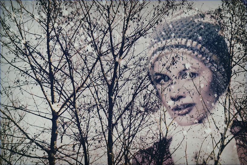 Forest Winter by Christine Nöhmeier