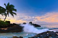 Zonsopkomst Secret Beach, Maui, Hawaii van Henk Meijer Photography thumbnail