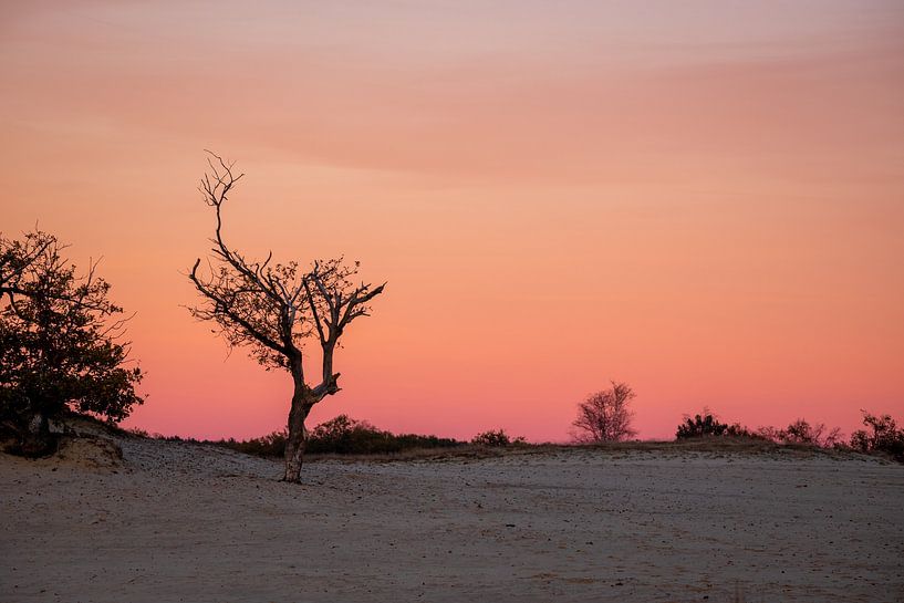 Drunense Duinen Rode Lucht van Zwoele Plaatjes