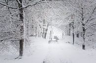 Eine Winterszene. Dwingelderveld, Drenthe. von Ton Drijfhamer Miniaturansicht