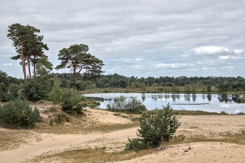 Landscape by Monique Verlouw