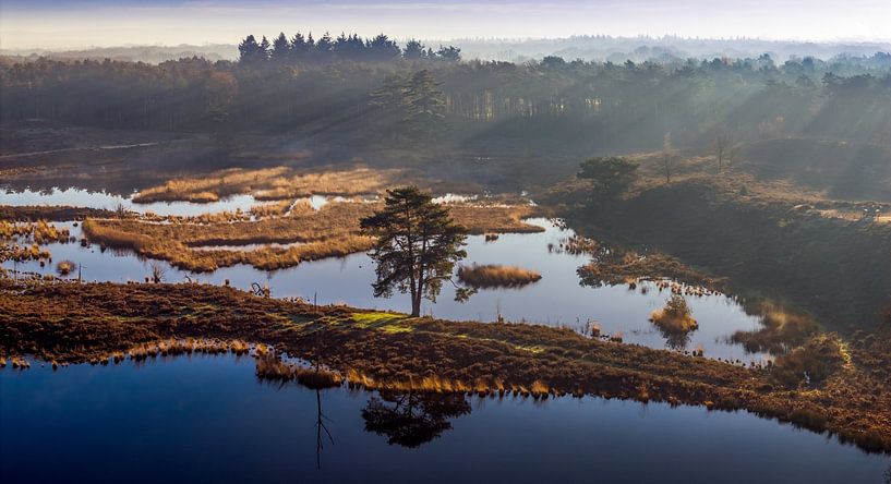 Hatertse fen near Nijmegen by Ab Wubben