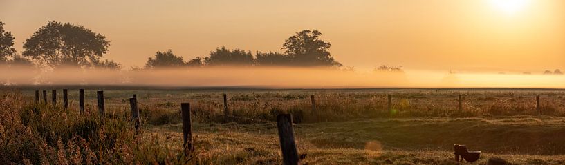 Panoramic photo dew on the meadow by Percy's fotografie