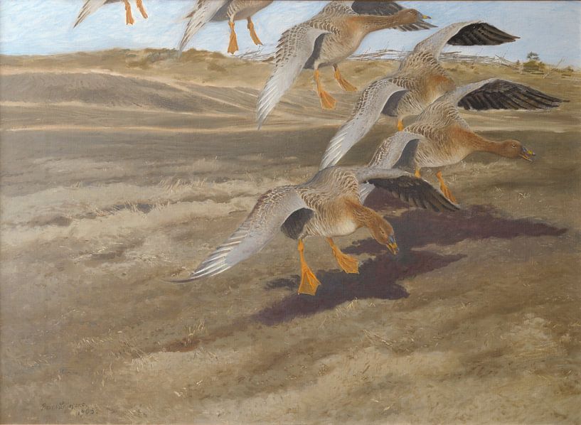 Wild Geese, Bruno Liljefors by Masterful Masters
