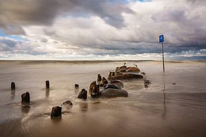 Baltic Sea coast on a stormy day sur Rico Ködder