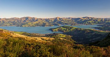 Akaroa von Ronne Vinkx