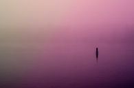 Paarse Mist over de Rijkerswoerdse Plassen van Robert Wiggers thumbnail