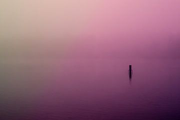 Paarse Mist over de Rijkerswoerdse Plassen van Robert Wiggers