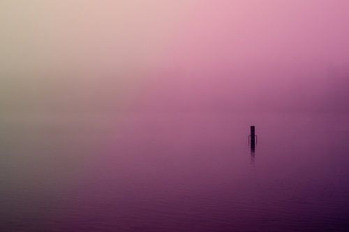 Paarse Mist over de Rijkerswoerdse Plassen