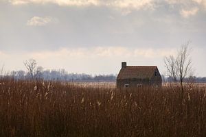 Häuschen Tiengemeten