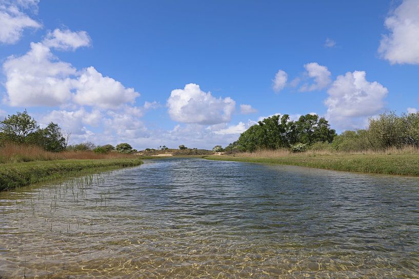 Àmsterdamse waterleidingduinen Zandvoort par Frans de Winter