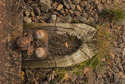 Old railway line "Borkense Course" in the Netherlands
