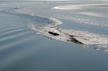 Wattenmeer in Bewegung Nr.1